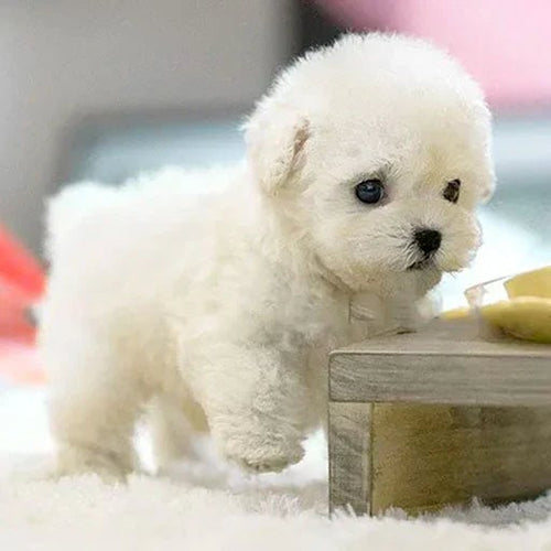 LumiPaws Plush Puppy With Lifelike Motion And Touch Response
