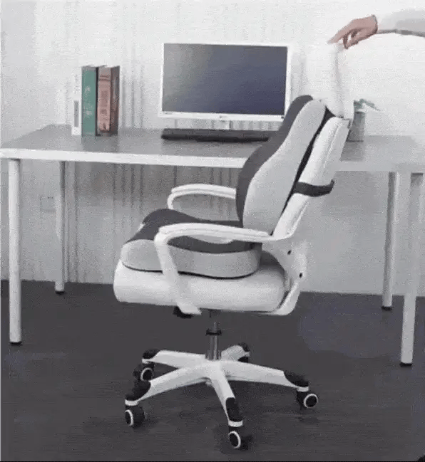 NovaLum Memory Foam Rygpude til Bil- og Skrivebordsbrug
