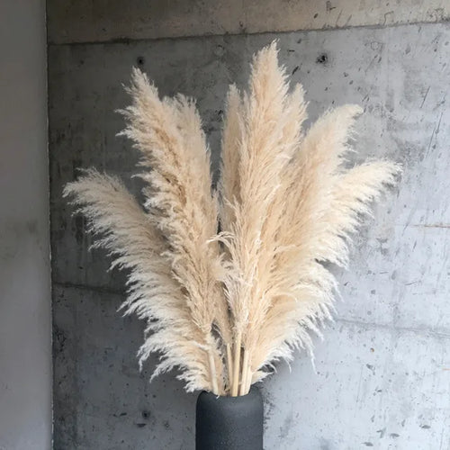 Aurea Meadow Boho Pampas Dried Grass Home Decor Accent