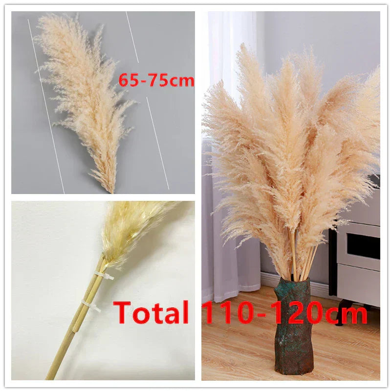 Aurea Meadow Boho Pampas Dried Grass Home Decor Accent