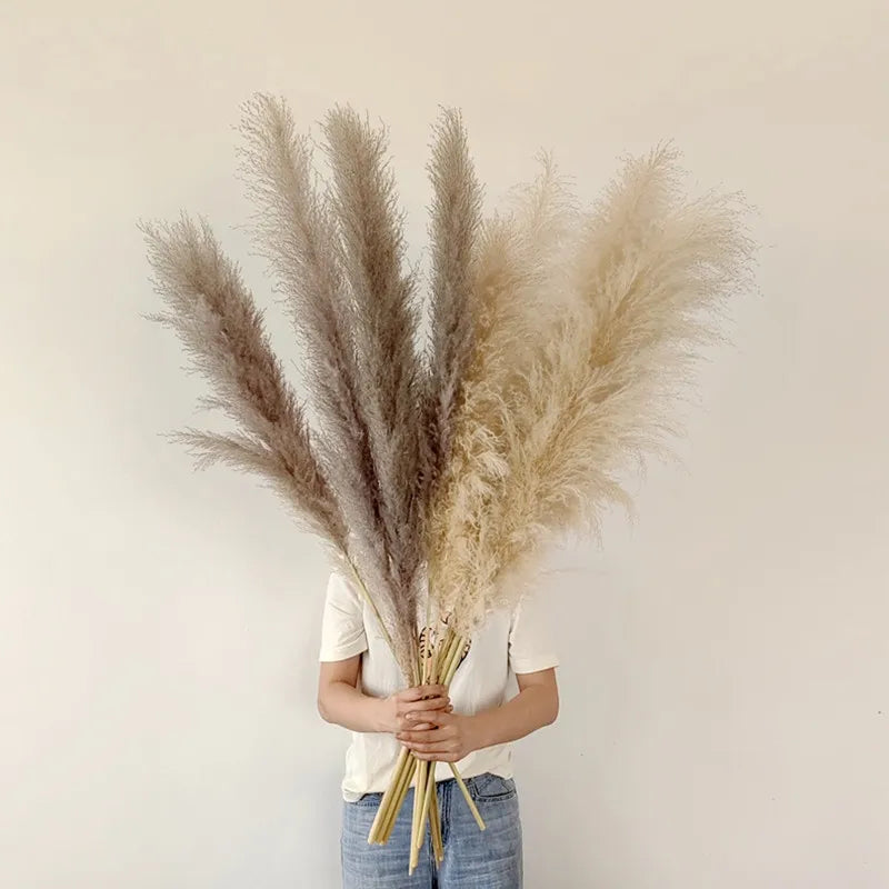 Aurea Meadow Boho Pampas Dried Grass Home Decor Accent