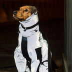 Casaco Impermeável Refletor BarkDry para Cão do Reino Unido com Pernas