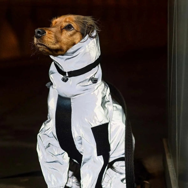 Casaco Impermeável Refletor BarkDry para Cão do Reino Unido com Pernas