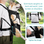 Borsa porta cane LumaTrail con vista frontale per avventure all'aperto