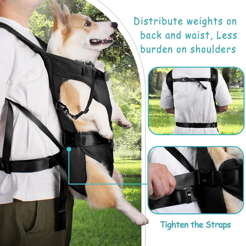 LumaTrail Front-View Dog Carrier Bag For Outdoor Adventures