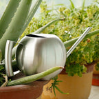 Sylvara Stainless Watering Can With Spherical Spout