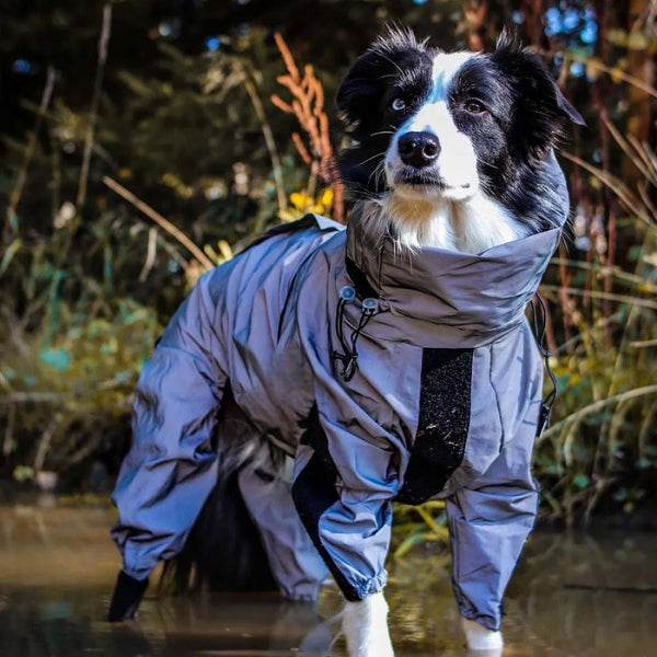 Casaco Impermeável Refletor BarkDry para Cão do Reino Unido com Pernas