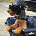 TrailPup Köpekler İçin Koruyucu Gözlüklü Binicilik Kaskı