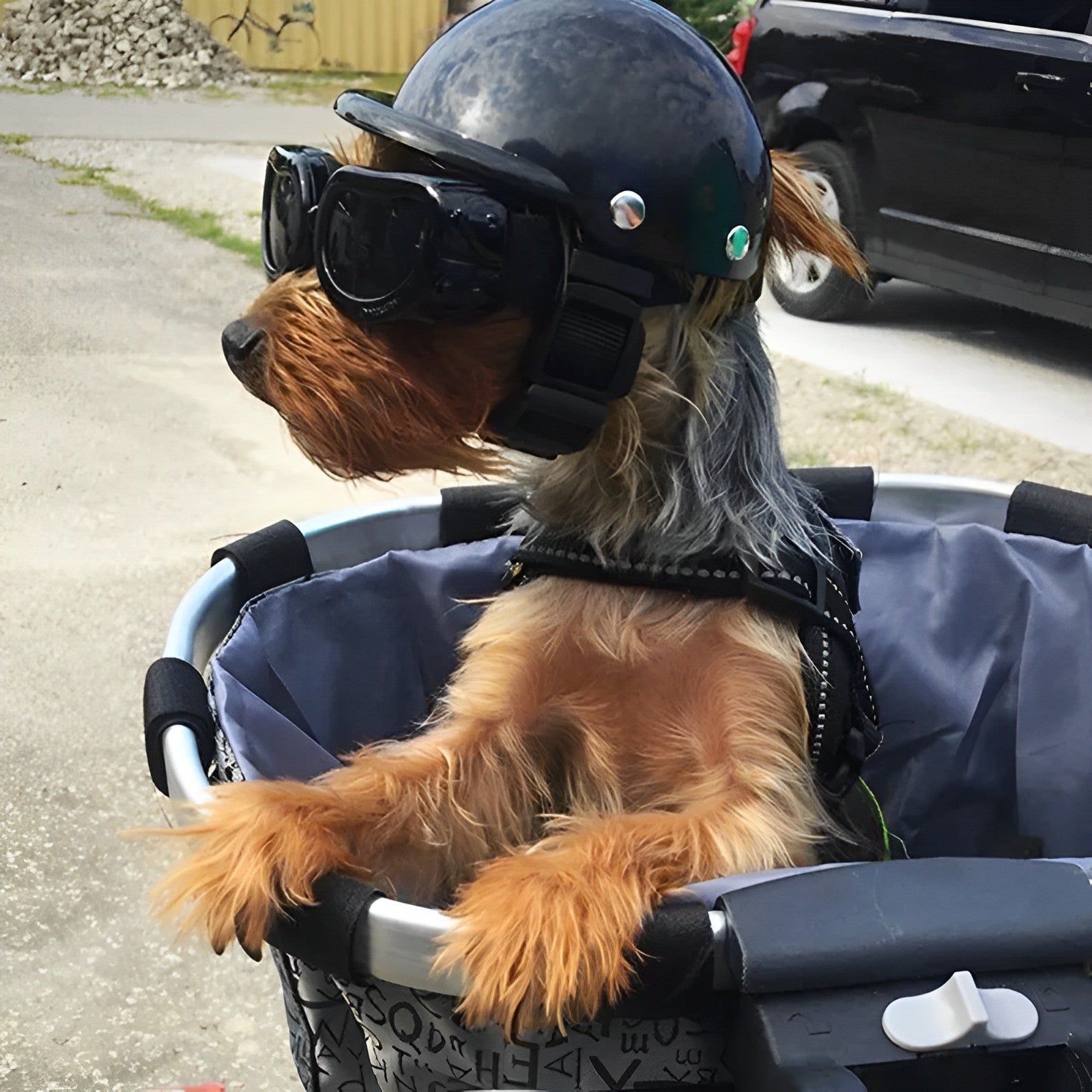 TrailPup Riding Gear For Dogs Protective Helmet With Goggles