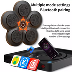NovaStrike Wall Mounted Boxing System With Music And Gloves