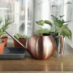 Sylvara Stainless Watering Can With Spherical Spout