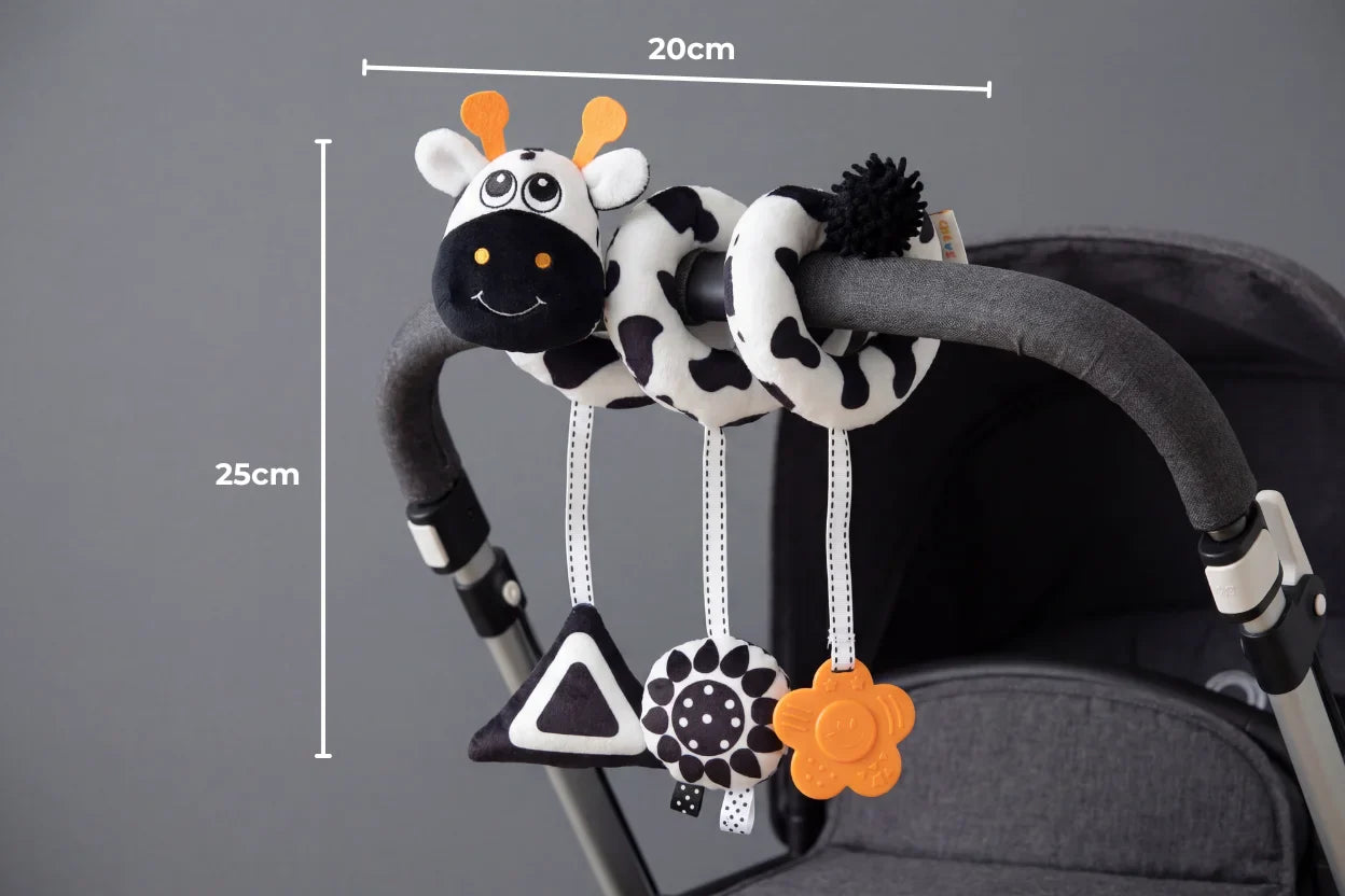 Monochrome Sensory Spiral for Early Development