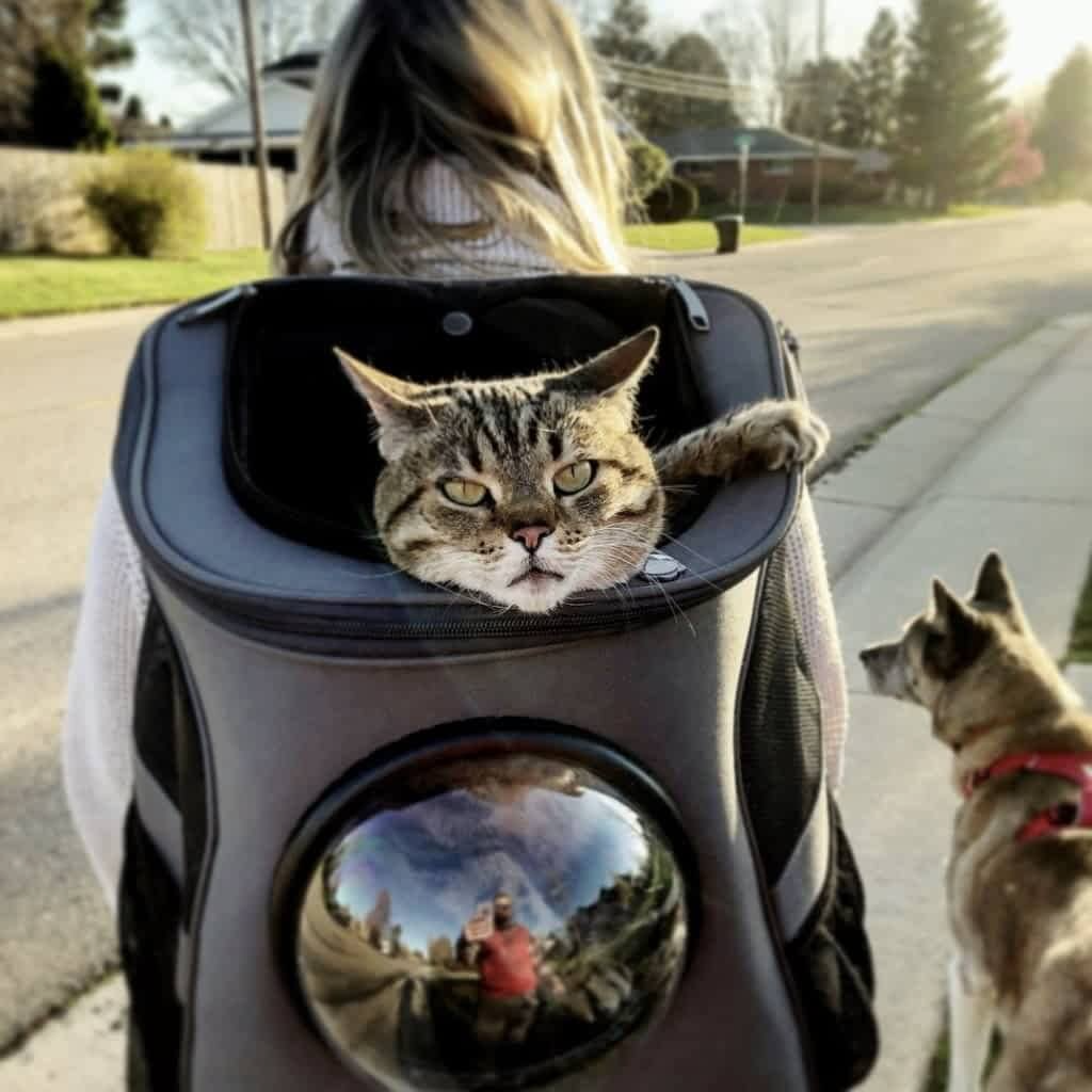 AeroPaws Ventilated Bubble Window Cat Backpack For Travel