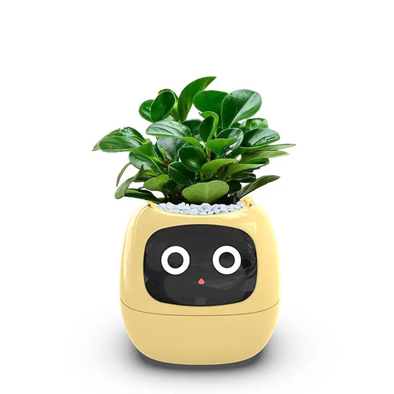 AI Powered Smart Planter With Seven Sensors For Living Room Plant Care
