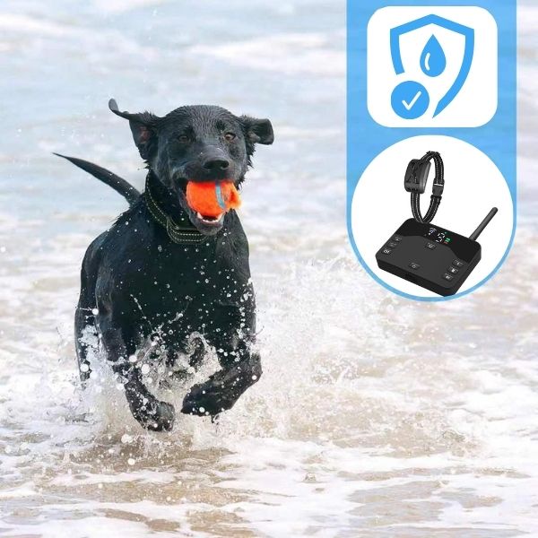PawGuard Boundary Pro Two In One Wireless Collar And Fence System
