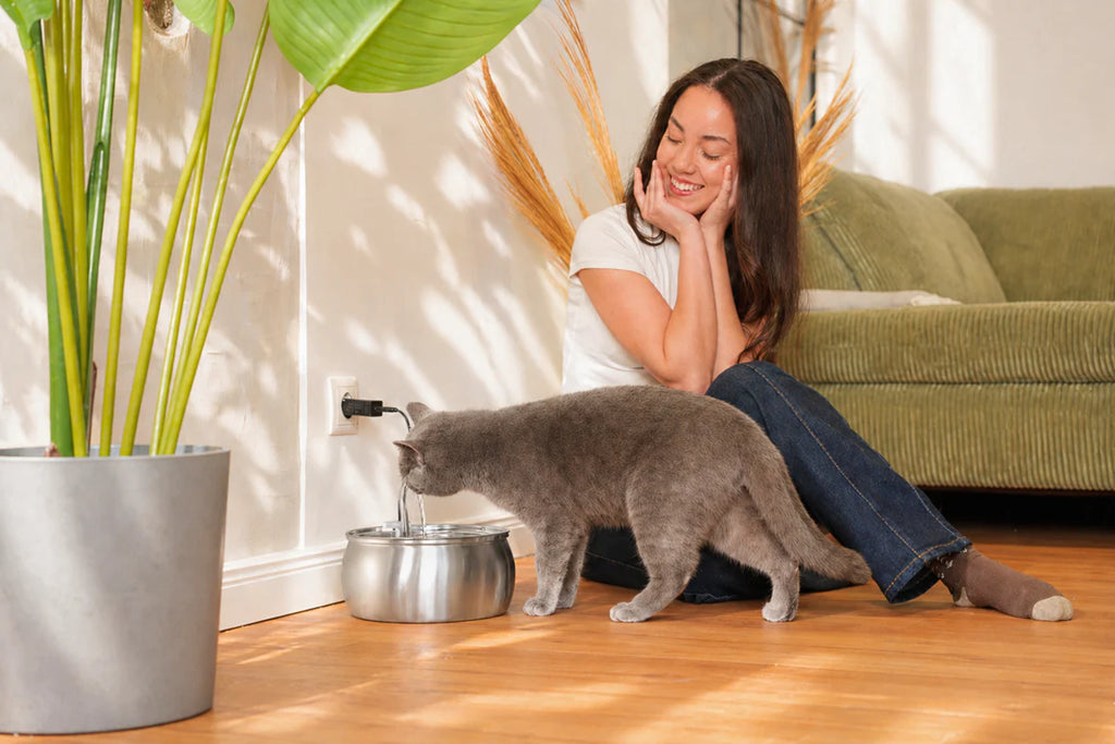 Stainless Steel Cat Water Fountain with Silent Pump & Multi-Stage Filter