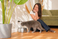 Stainless Steel Cat Water Fountain with Silent Pump & Multi-Stage Filter