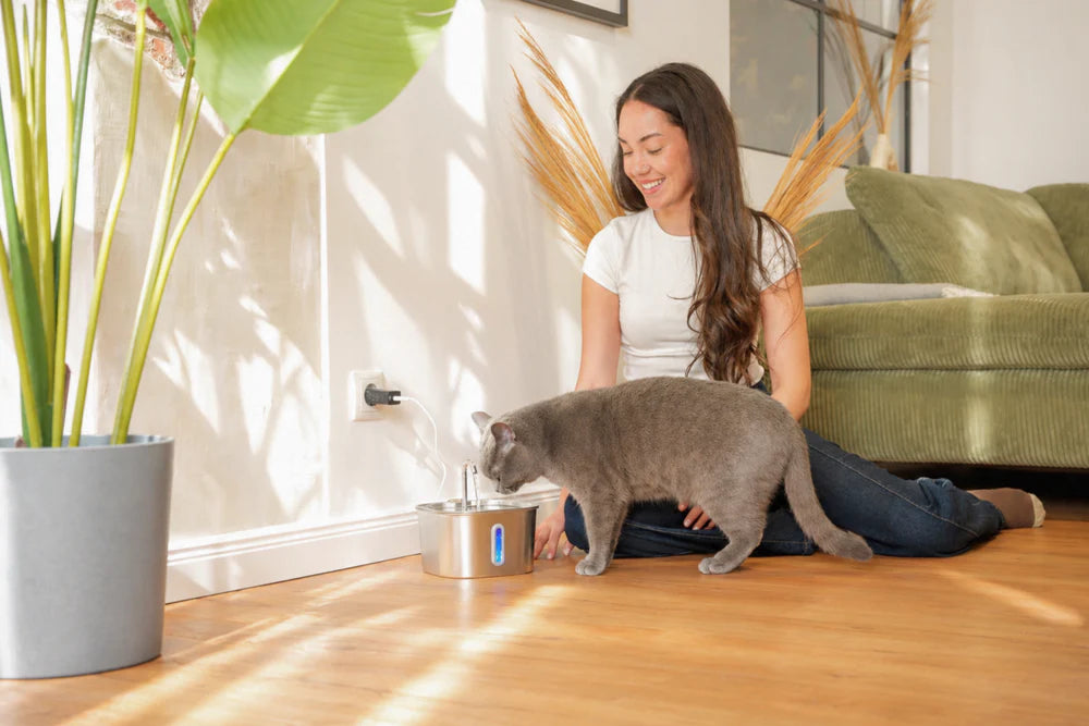 Compact Stainless Steel Cat Water Fountain with Silent Pump