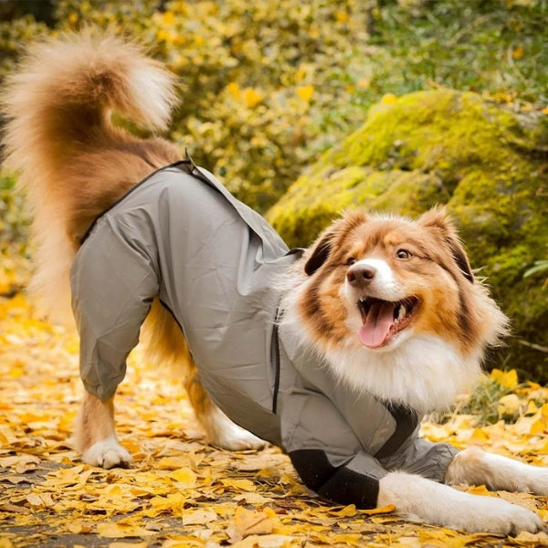 Casaco Impermeável Refletor BarkDry para Cão do Reino Unido com Pernas