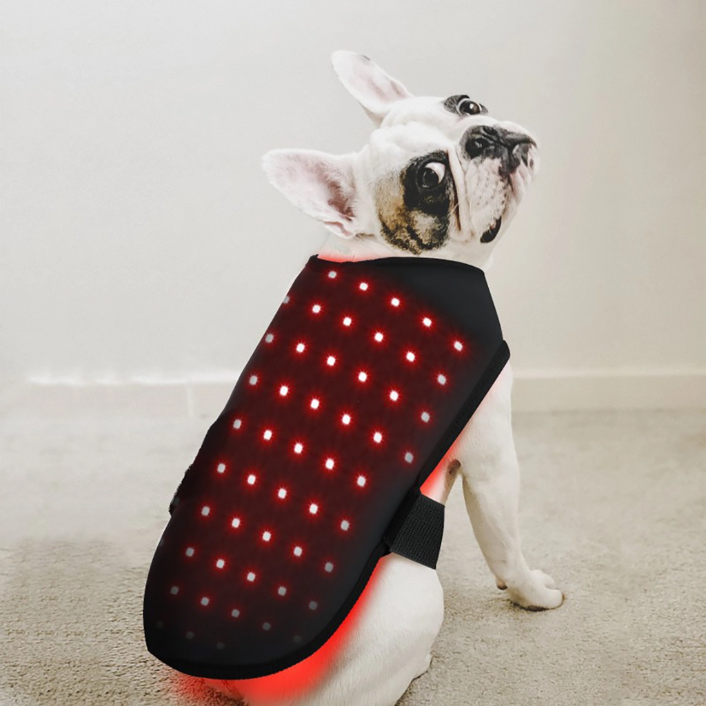 LumaCare Pet Infrared Light Belt For Pain Relief And Soft Tissue Support
