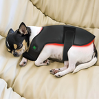 LumaCare Pet Infrared Light Belt For Pain Relief And Soft Tissue Support