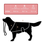 LumaCare Pet Infrared Light Belt For Pain Relief And Soft Tissue Support