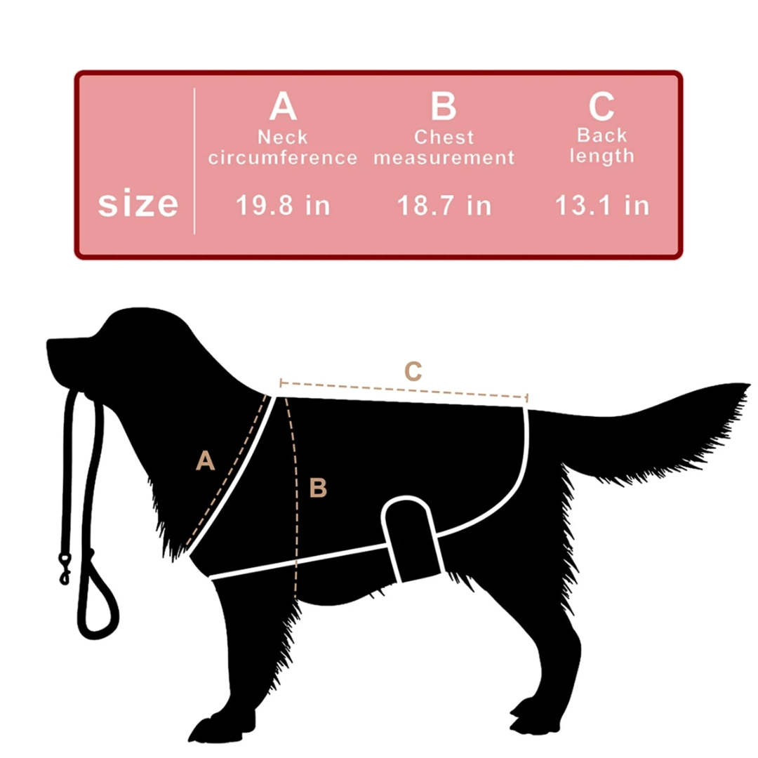 LumaCare Pet Infrared Light Belt For Pain Relief And Soft Tissue Support