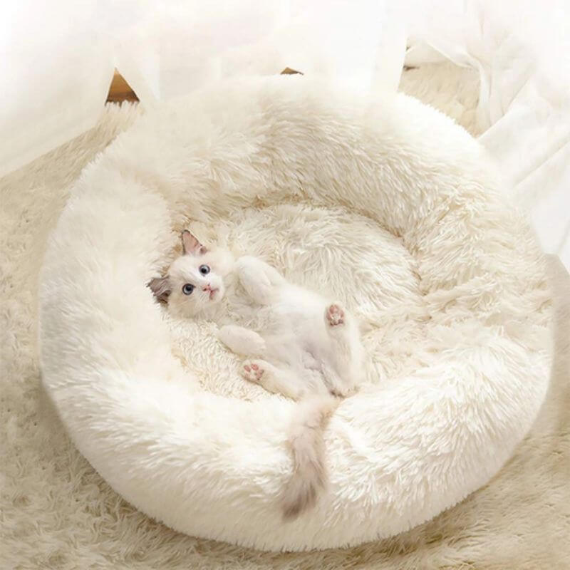 CalmPaws Kattenbed voor Angstvermindering en Comfort de Hele Dag