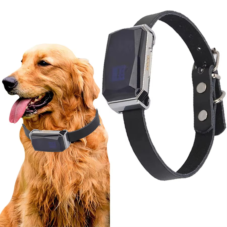GPS-Hundehalsband mit einfacher Einrichtung für sicheren Sitz