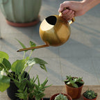 Sylvara Stainless Watering Can With Spherical Spout