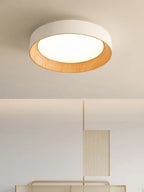 Aurea Lux Modern Ceiling Light With Acrylic Shade For Bright Interiors