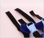 WandaPaws Blind Dog Harness With Guide And Bumper Collar