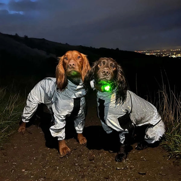 Casaco Impermeável Refletor BarkDry para Cão do Reino Unido com Pernas