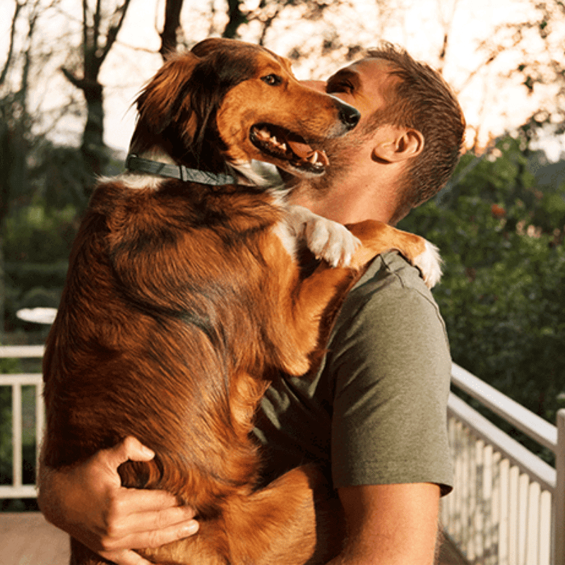 PawSafeGuard Dog Flea And Tick Prevention Collar For Outdoor Adventures
