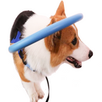 WandaPaws Blind Dog Harness With Guide And Bumper Collar