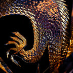 Takumi Soaring Dragon Szklanka do whisky, ręcznie wykonana, w drewnianym pudełku