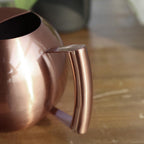 Sylvara Stainless Watering Can With Spherical Spout