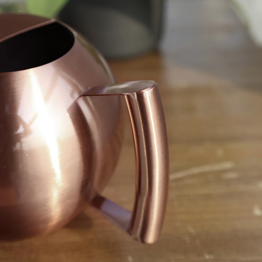 Sylvara Stainless Watering Can With Spherical Spout