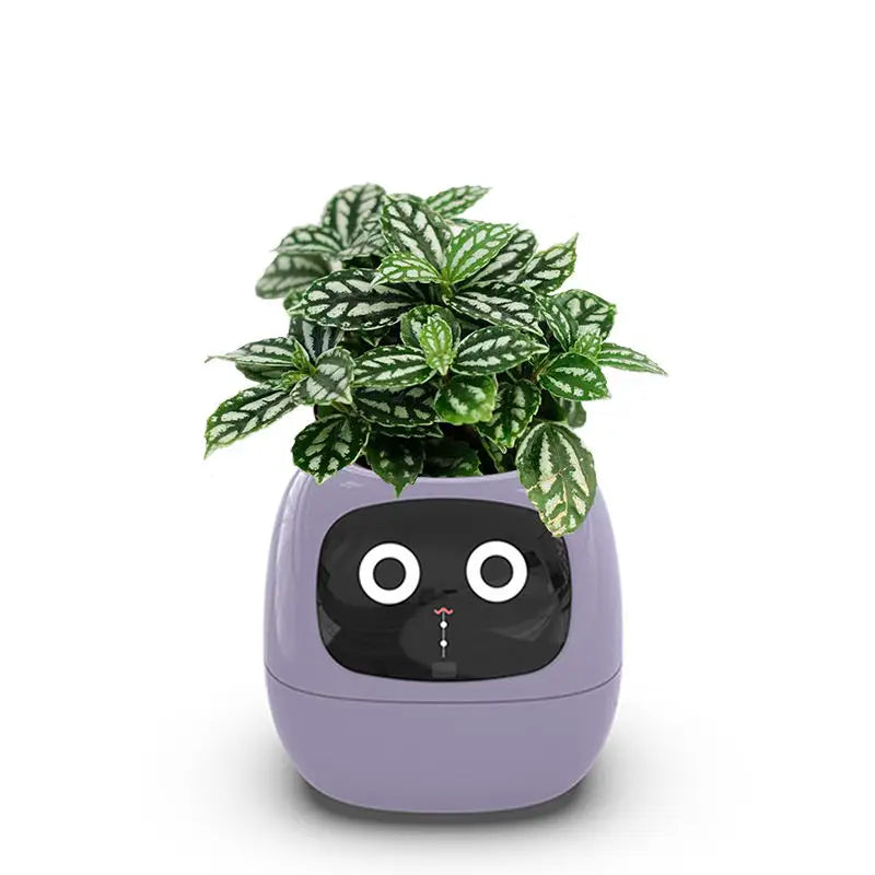 AI Powered Smart Planter With Seven Sensors For Living Room Plant Care