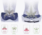 Cuscino in Memory Foam con Comfort per Ossa Ischiatiche per Supporto Lombare
