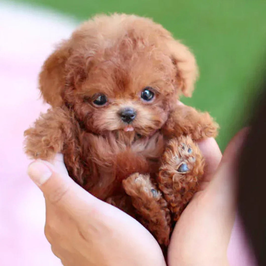 LumiPaws Plush Puppy With Lifelike Motion And Touch Response