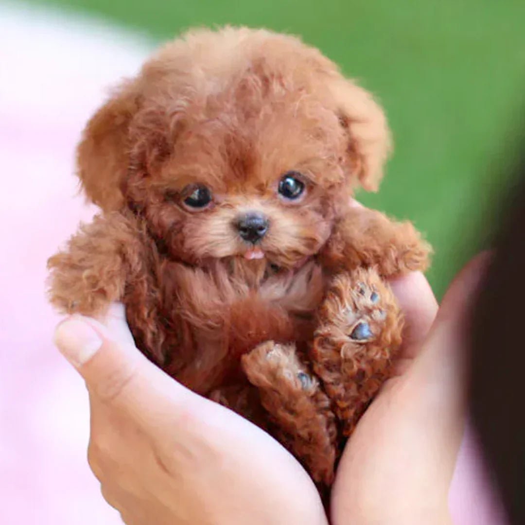LumiPaws Plush Puppy With Lifelike Motion And Touch Response