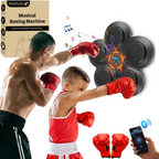 NovaStrike Wall Mounted Boxing System With Music And Gloves