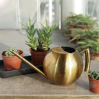 Sylvara Stainless Watering Can With Spherical Spout