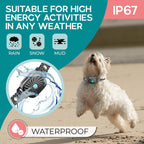 Coleira CalmPaw BarkGuard de Disuasão Suave para Cães Pequenos