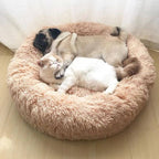 CalmPaws Kattenbed voor Angstvermindering en Comfort de Hele Dag