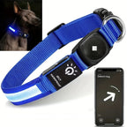 LumaPaw Waterproof LED Collar With Tracker Slot For Dogs