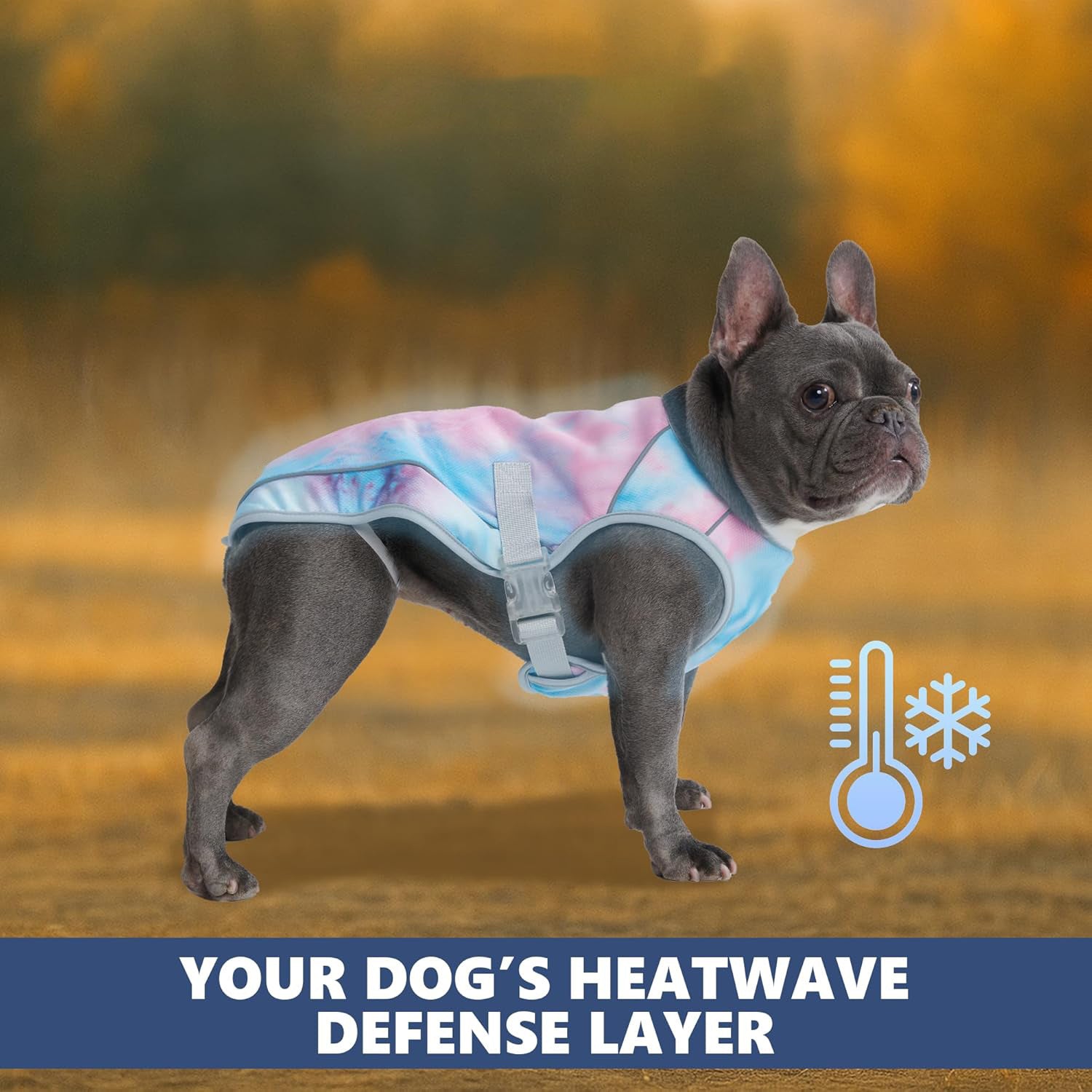 Hundekølevest med UV-beskyttelse, åndbar og let til alle racer S-XXL