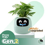 Ivy Desk Plant Pet