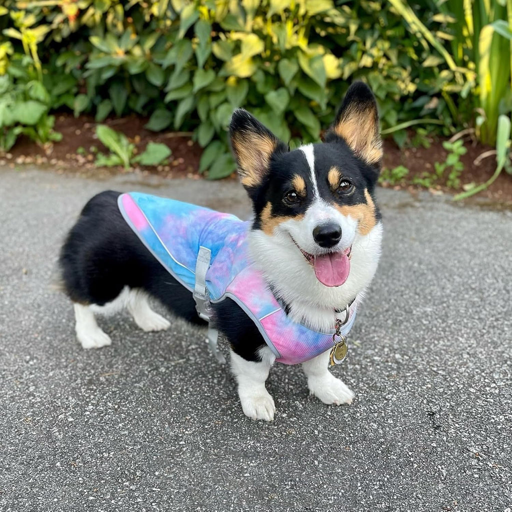 Dog Cooling Vest With UV Protection, Breathable Lightweight For All Breeds S-XXL